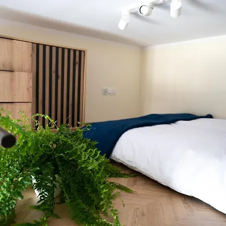 Citycenterapartment/wrsz56 *