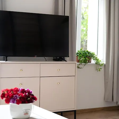 Citycenterapartment/wrsz56 Katowice