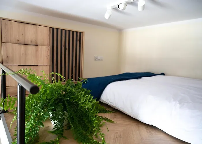 Citycenterapartment/wrsz56 *