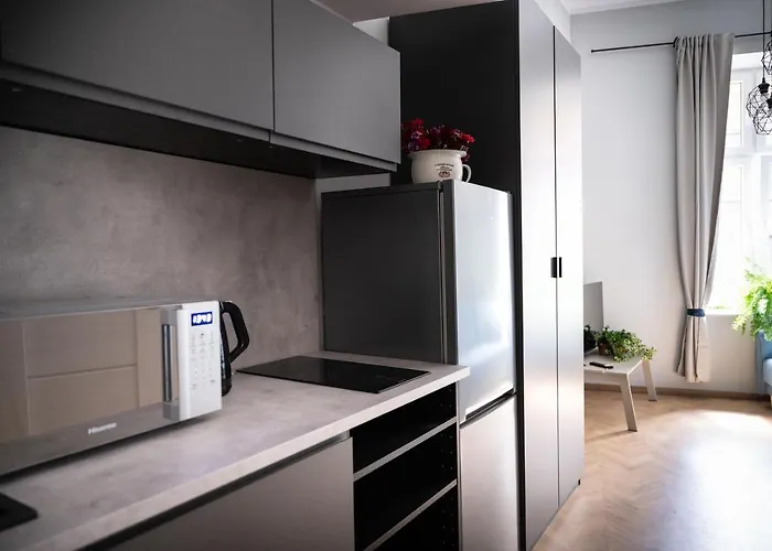 Citycenterapartment/wrsz56 * Katowice